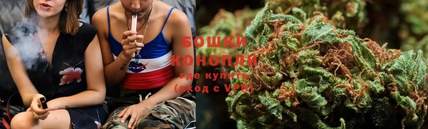 дурь Козельск