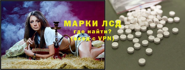 прущие грибы Кодинск
