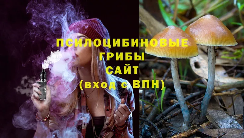 Псилоцибиновые грибы Psilocybe  Киров 