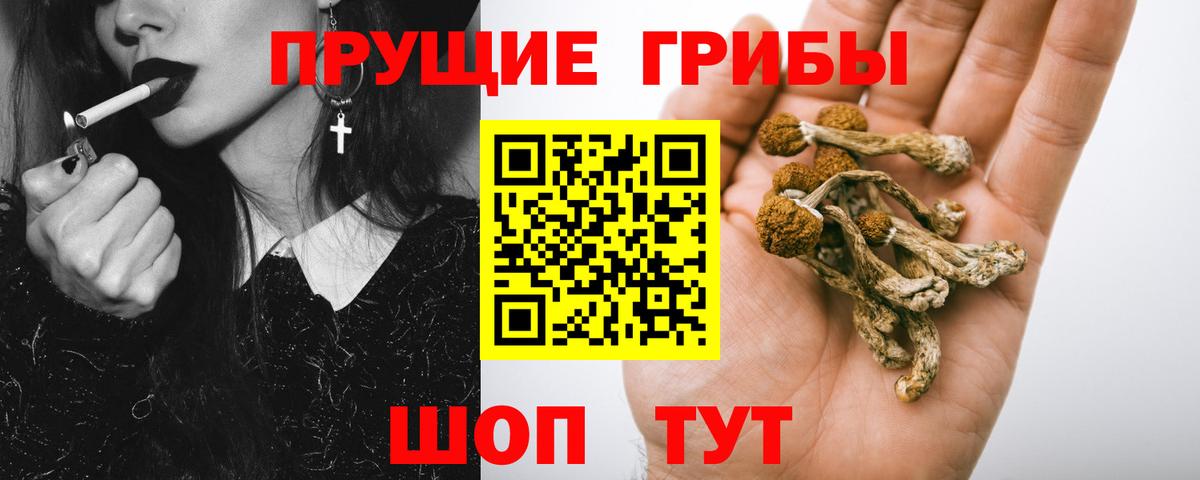 Галлюциногенные грибы Psilocybe  Псилоцибиновые грибы Cubensis  где можно купить   Киров  Вход с VPN 